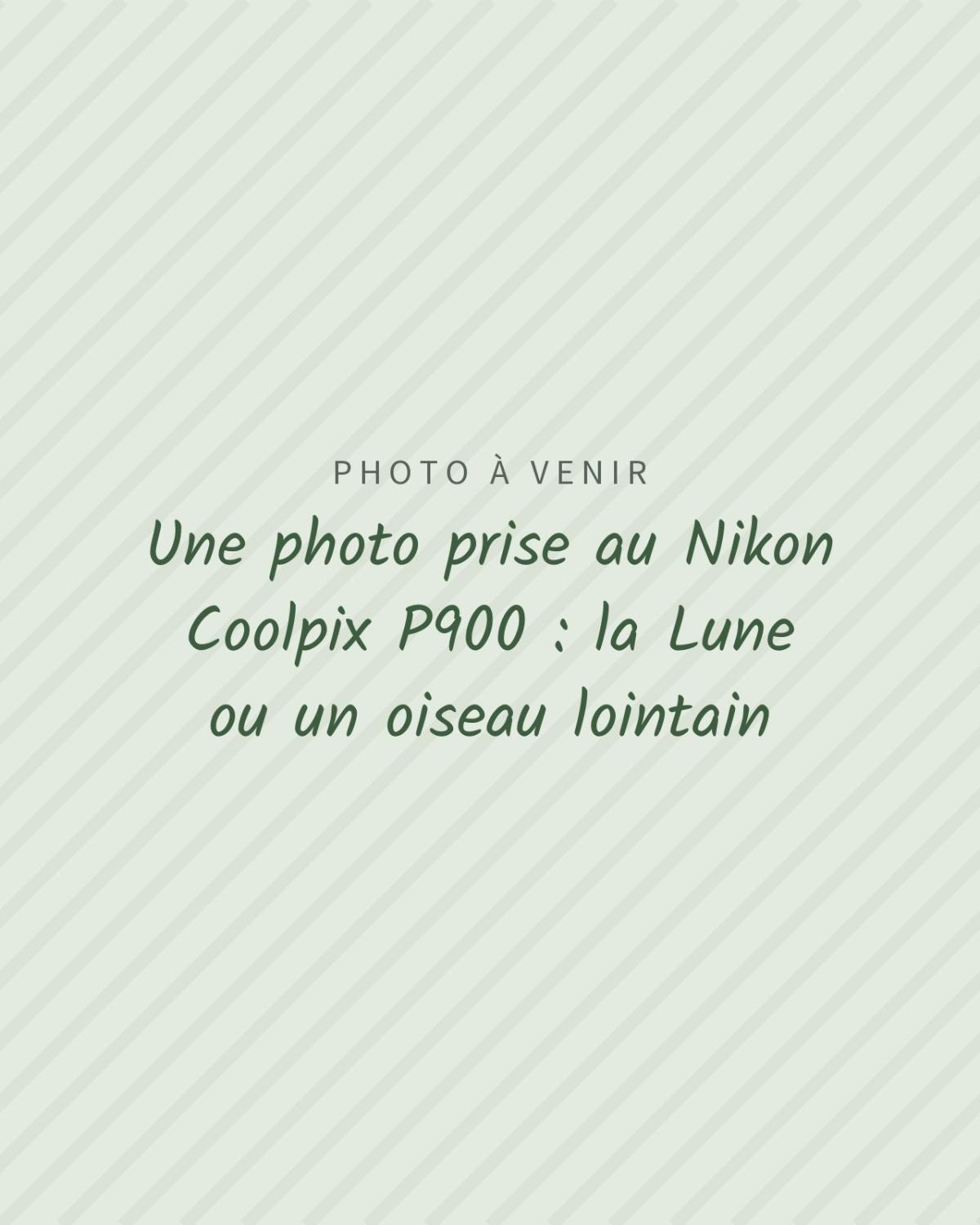 Photo à venir : Une photo prise au Nikon Coolpix P900 : la Lune ou un oiseau lointain