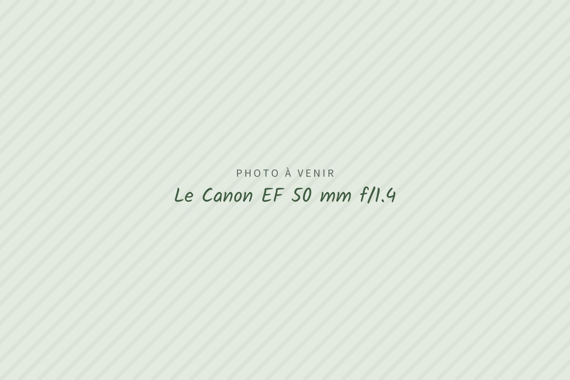 Photo à venir : Le Canon EF 50 mm f/1.4