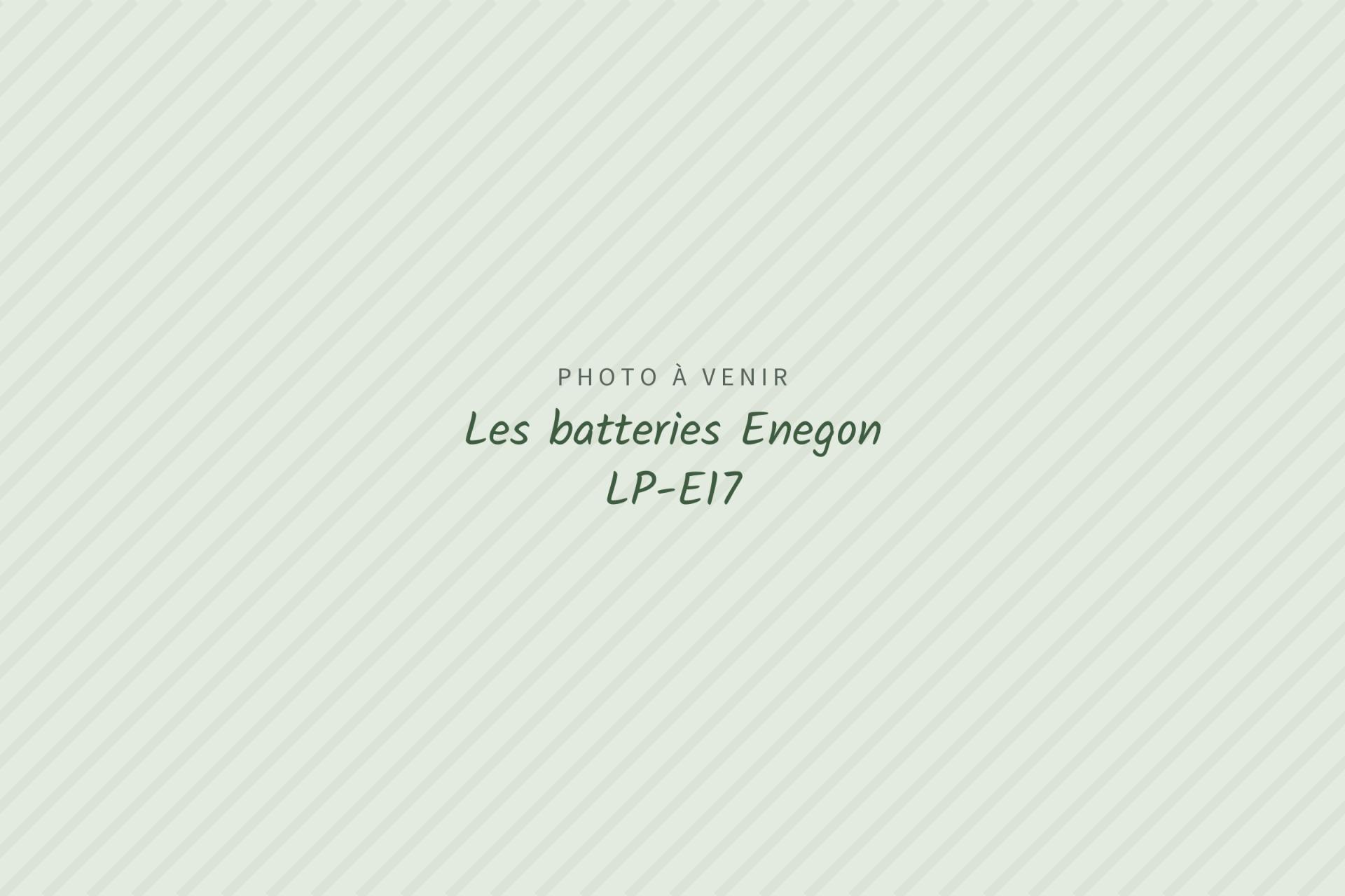 Photo à venir : Les batteries Enegon LP-E17