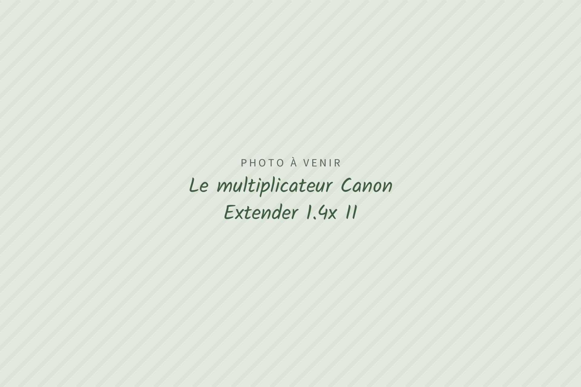 Photo à venir : Le multiplicateur Canon Extender 1.4x II