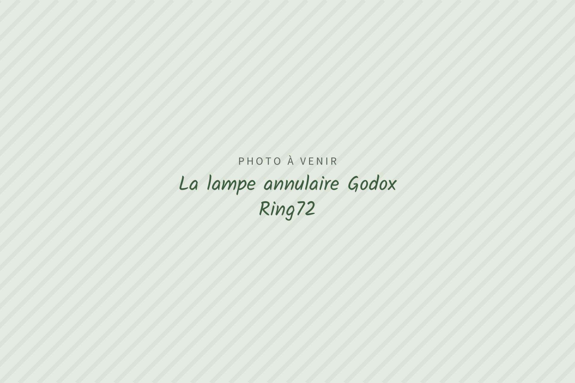 Photo à venir : La lampe annulaire Godox Ring72