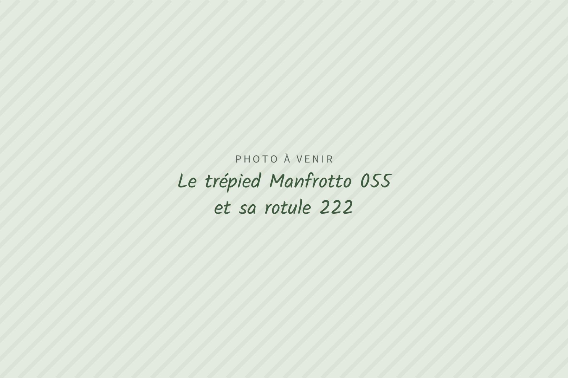 Photo à venir : Le trépied Manfrotto 055 et sa rotule 222