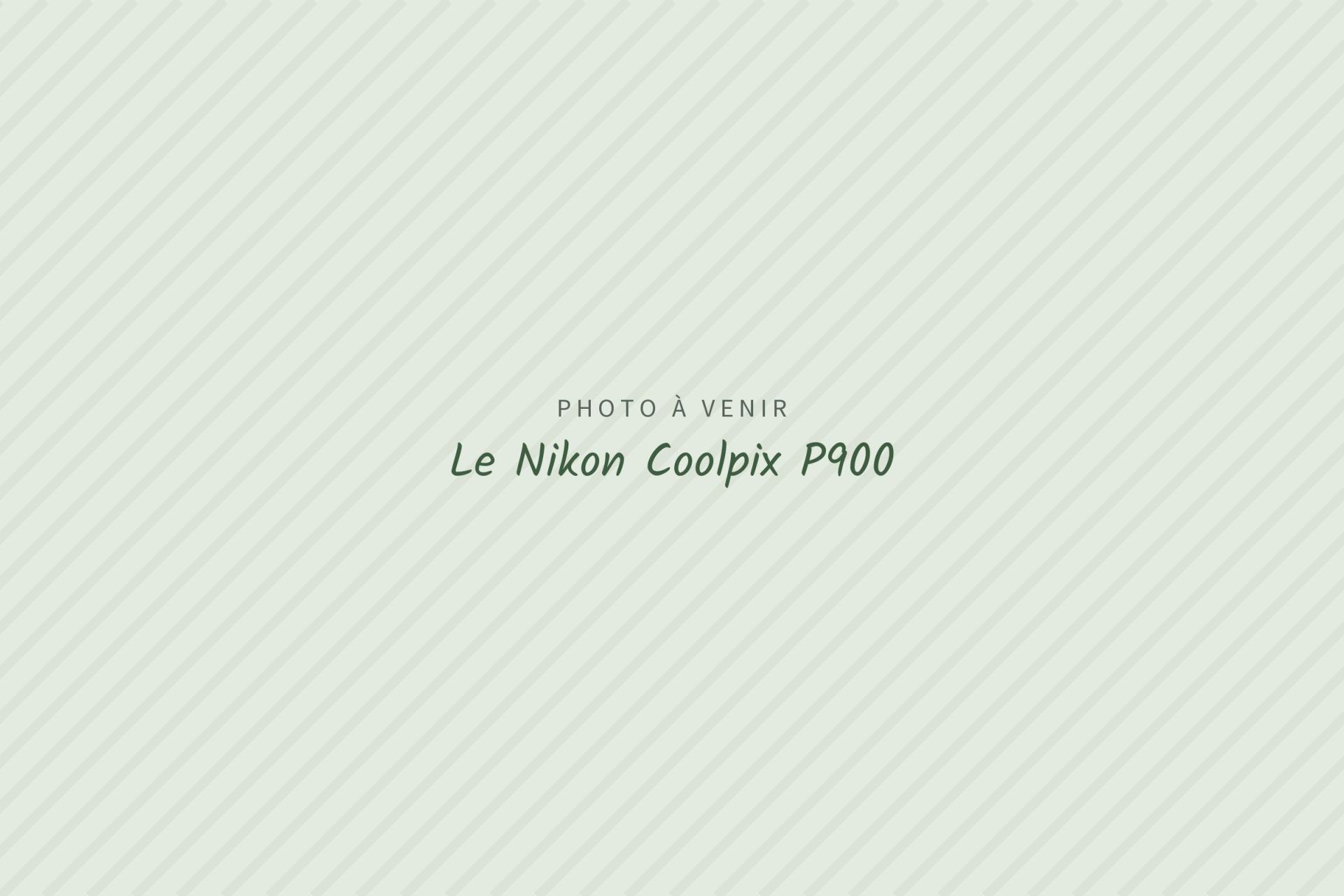 Photo à venir : Le Nikon Coolpix P900
