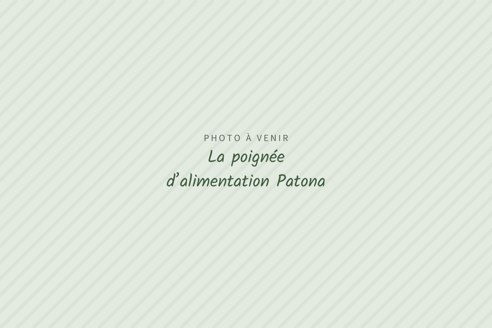Photo à venir : La poignée d’alimentation Patona