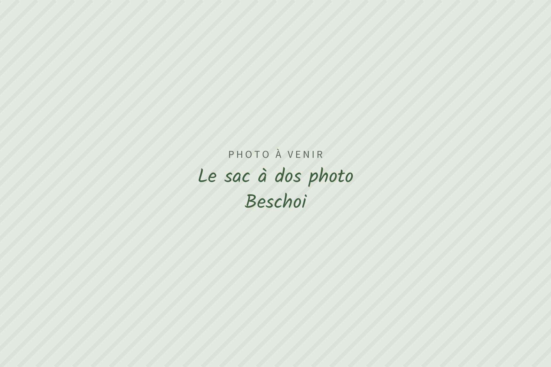 Photo à venir : Le sac à dos photo Beschoi