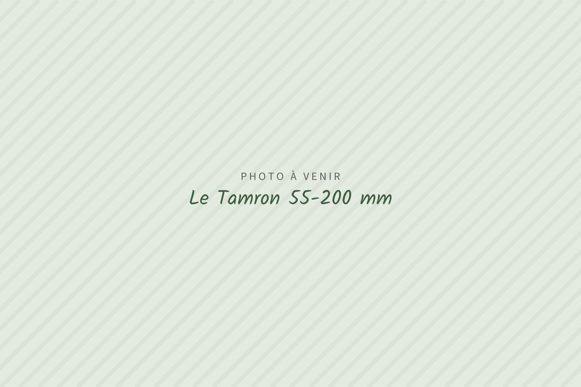 Photo à venir : Le Tamron 55-200 mm