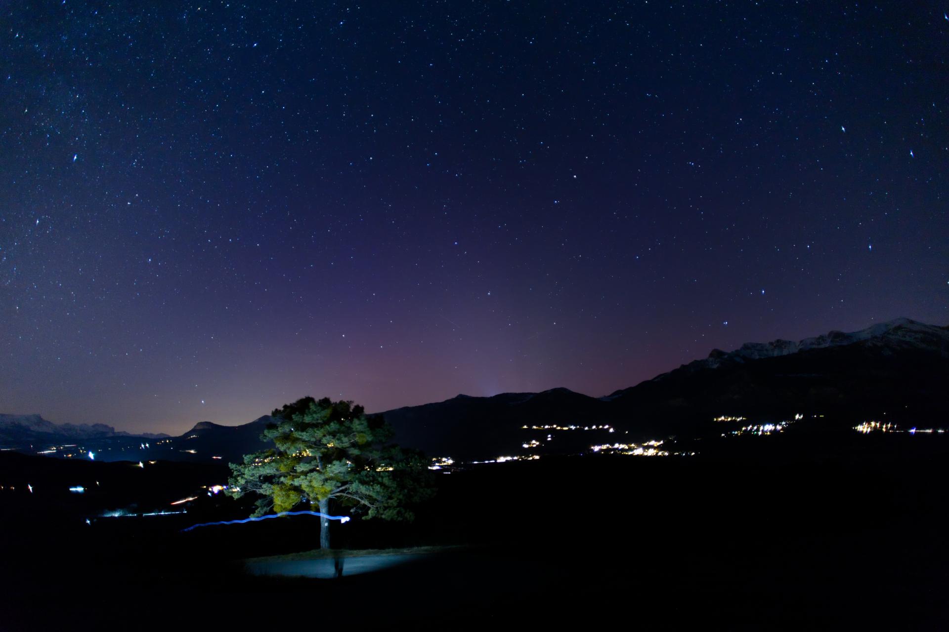 Arbre isolé éclairé à la lampe au milieu d’un pré sombre, sous un ciel bleu nuit étoilé et les lumières de la vallée