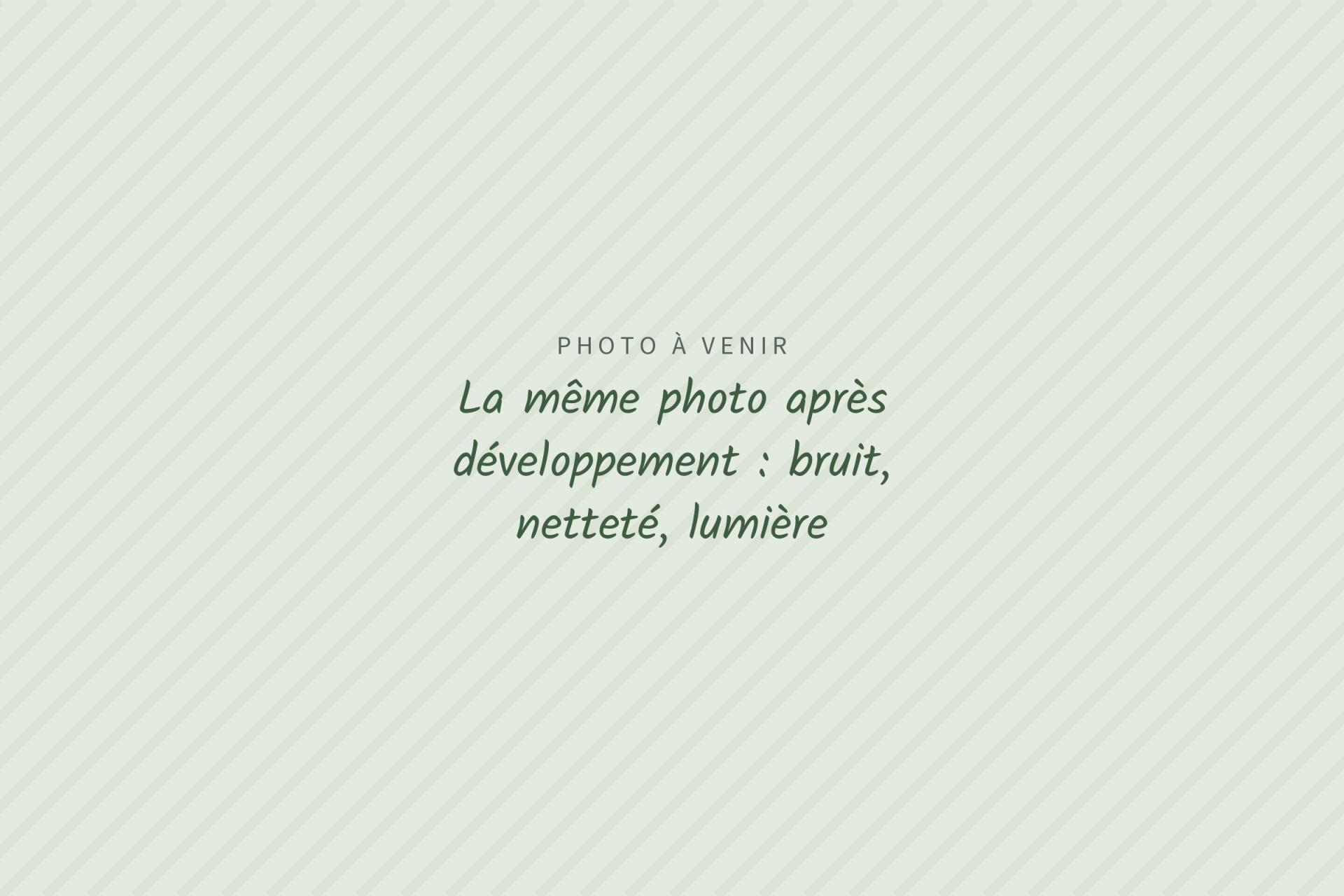 Photo à venir : La même photo après développement : bruit, netteté, lumière