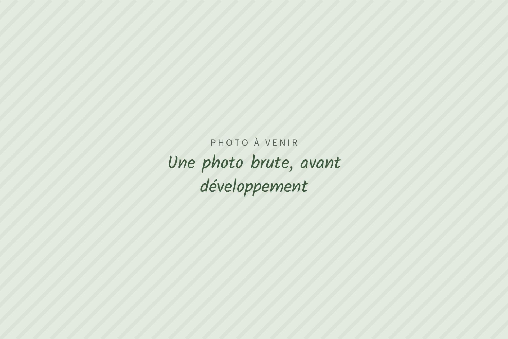 Photo à venir : Une photo brute, avant développement