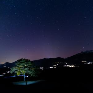 Arbre isolé éclairé à la lampe au milieu d’un pré sombre, sous un ciel bleu nuit étoilé et les lumières de la vallée