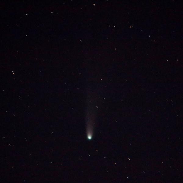 Comète à la chevelure verte et à la longue queue pâle, au milieu d’un ciel noir parsemé d’étoiles